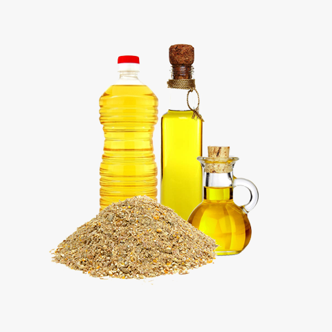 Oil & Feeds